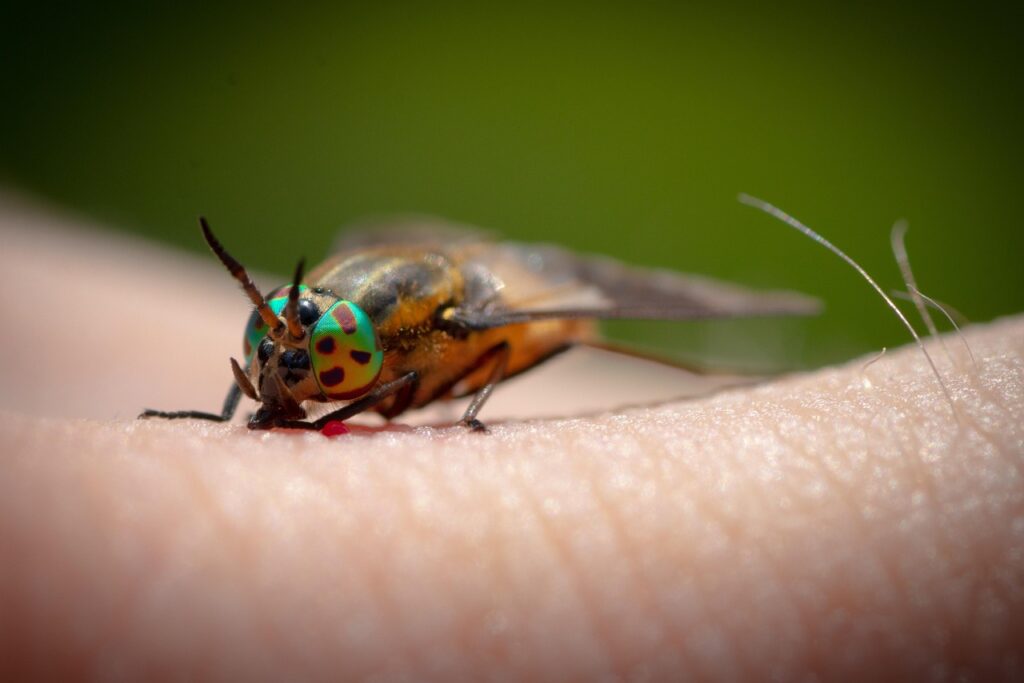 赤ちゃんの虫刺されにおすすめの薬は？