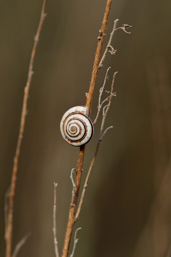 赤ちゃんのよだれがかぶれをひどくする原因とは？