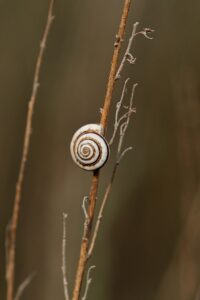 赤ちゃんのよだれによるかぶれに効果的な薬は？